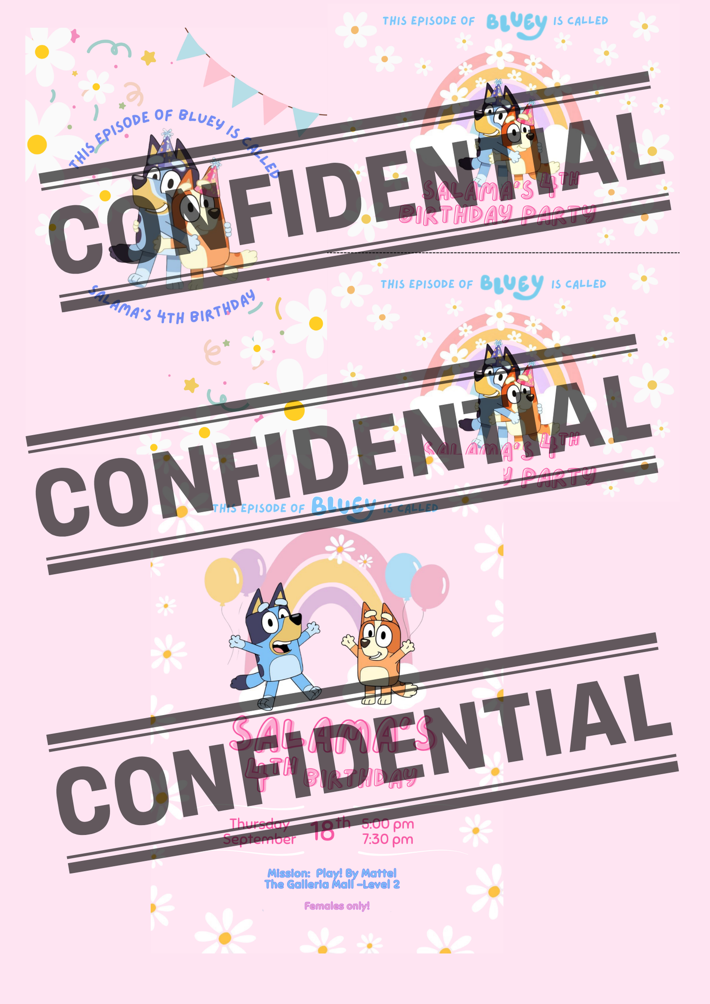 Bluey birthday party - digital download